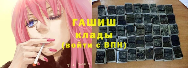 мдпв Новозыбков